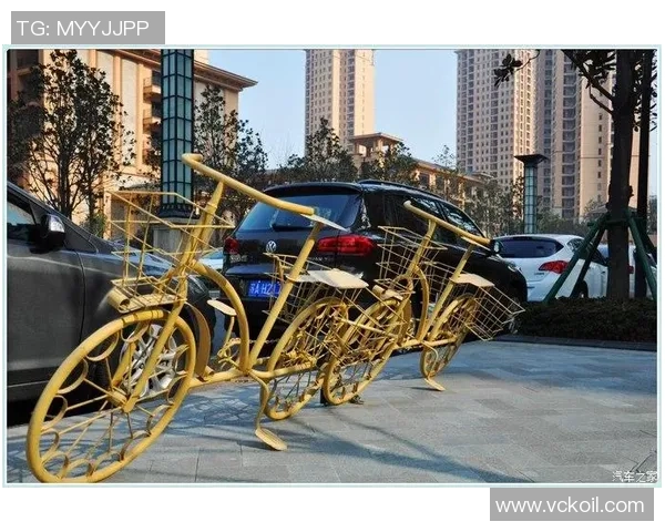 西安极限运动队的蜕变与成长探索新高度的转型之路